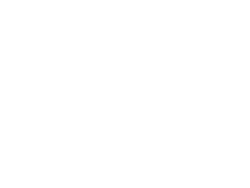 Life's Guardian Security